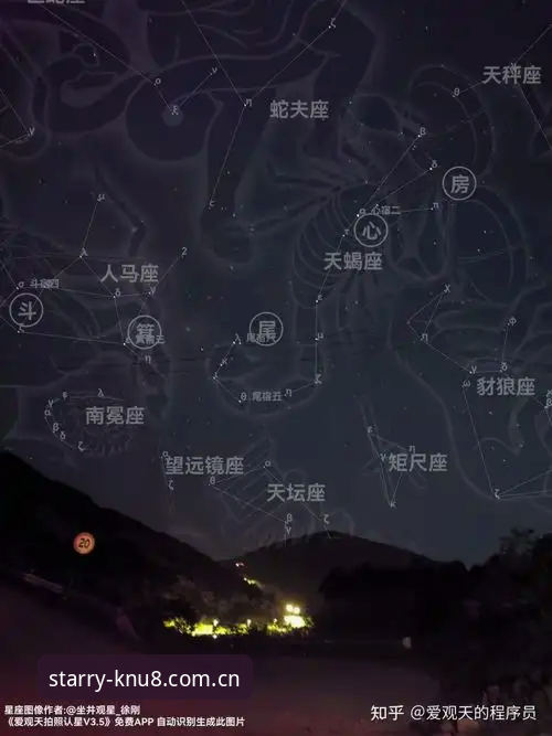 星空中国KNU8直播厅平台 深度分析:星空中国KNU8直播厅平台如何避坑——一位资深玩家的数据观察